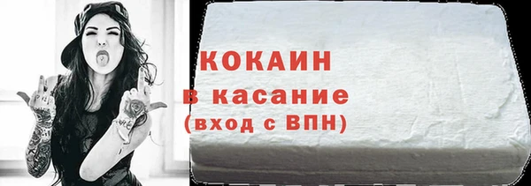 индика Протвино