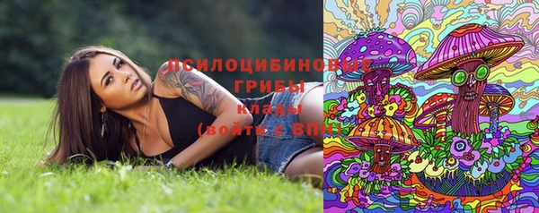 индика Протвино