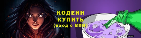 дживик Вуктыл