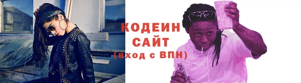 дурь Покачи