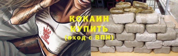 дурь Покачи