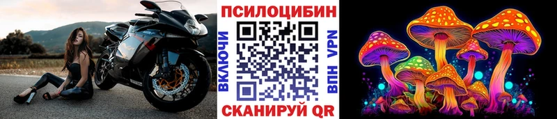 blacksprut ссылки  Барнаул  Галлюциногенные грибы прущие грибы 