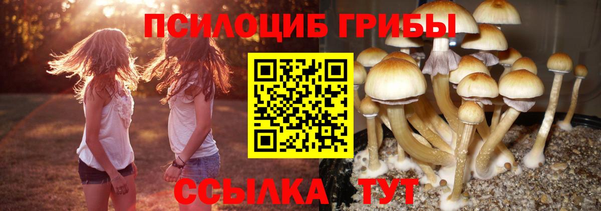 Барнаул  наркотики  Вход с VPN  Галлюциногенные грибы Cubensis 